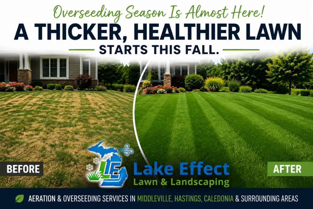Fall Lawn Aeration and Overseeding in West Michigan Before and after lawn aeration and overseeding results in West Michigan showing thin turf transformed into a thick, healthy green lawn